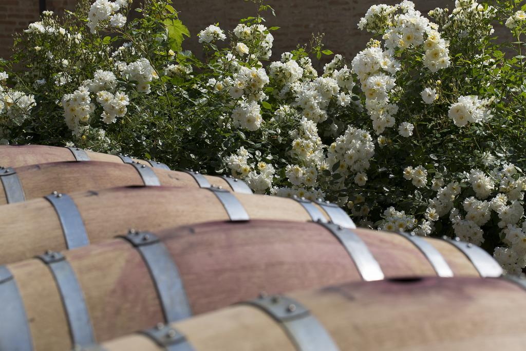 Marchesi Alfieri - Cantine E Ospitalita San Martino Alfieri Extérieur photo